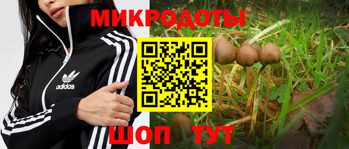 Нефтеюганск  Галлюциногенные грибы ЛСД  Вход с VPN 